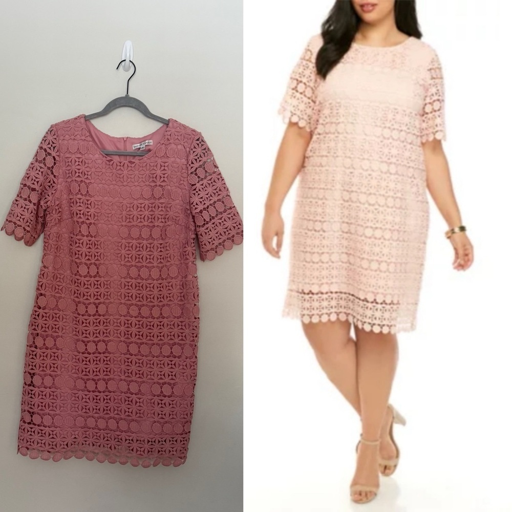 Sandra Darren lace eyelet dress 14P
